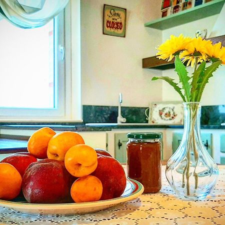 Bio Agriturismo Mare In Campagna Campofilone Eksteriør bilde