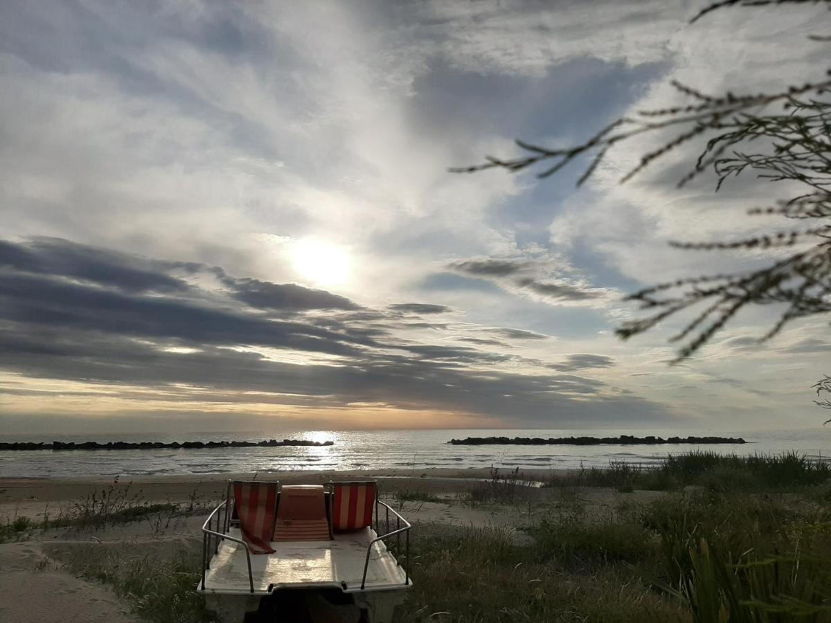 Bio Agriturismo Mare In Campagna Campofilone Eksteriør bilde