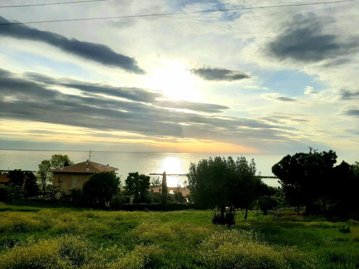 Bio Agriturismo Mare In Campagna Campofilone Eksteriør bilde