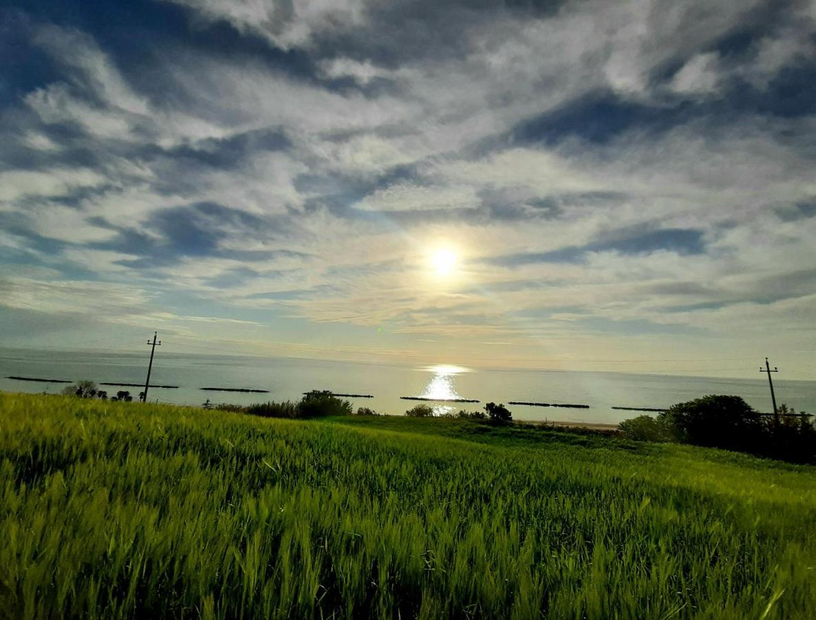 Bio Agriturismo Mare In Campagna Campofilone Eksteriør bilde