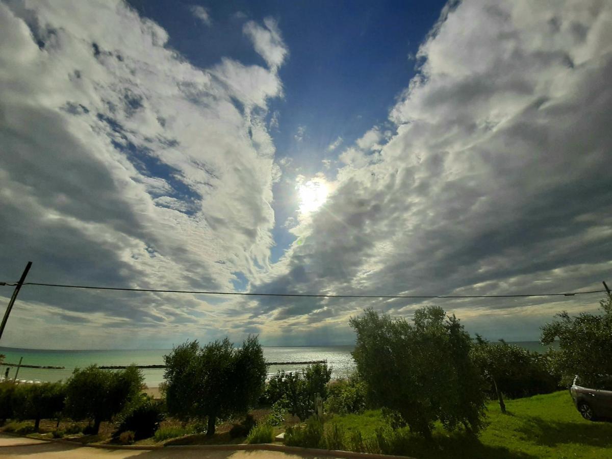 Bio Agriturismo Mare In Campagna Campofilone Eksteriør bilde