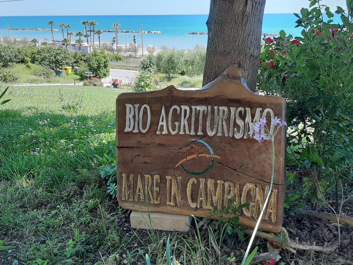 Bio Agriturismo Mare In Campagna Campofilone Eksteriør bilde