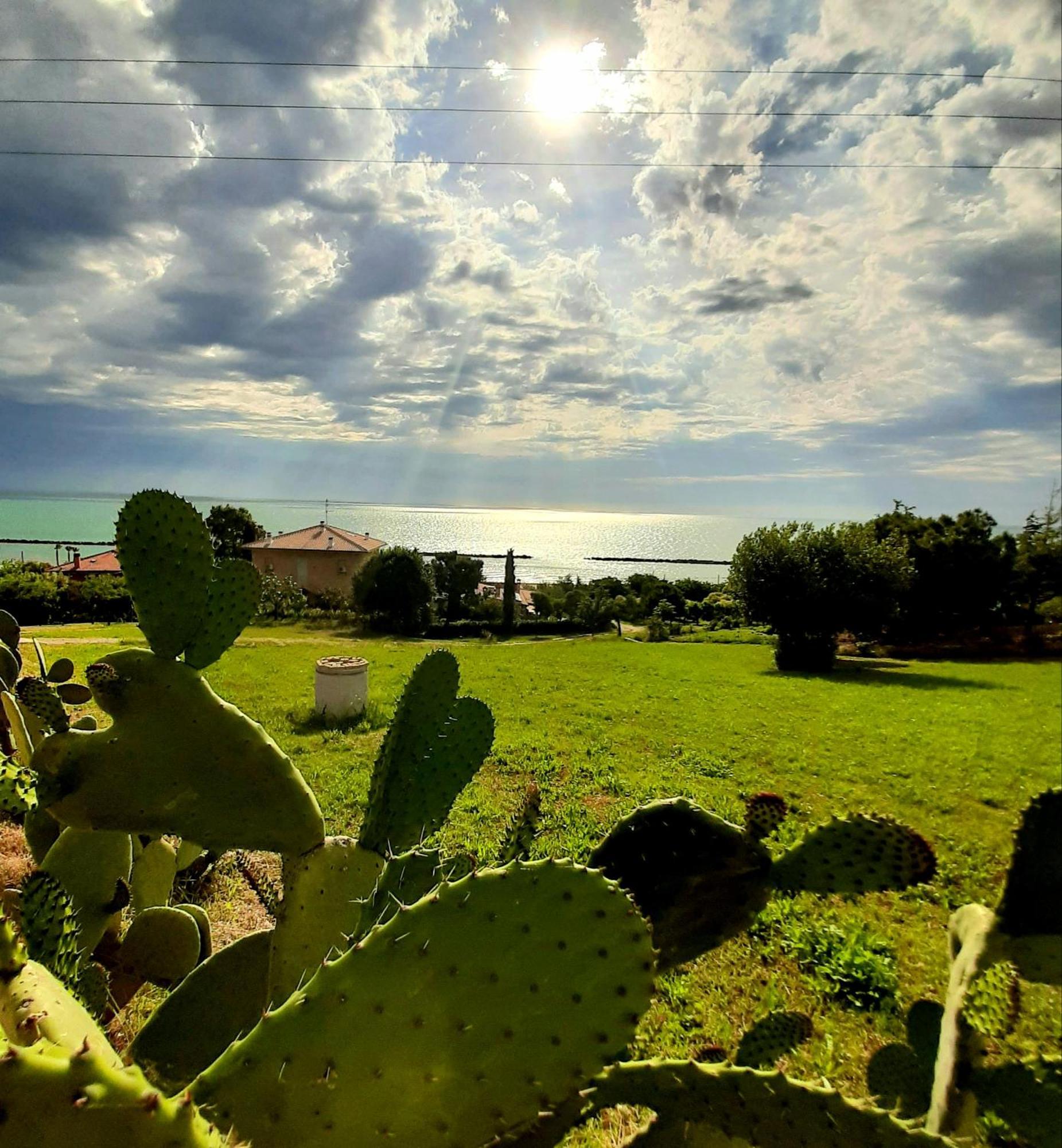 Bio Agriturismo Mare In Campagna Campofilone Eksteriør bilde
