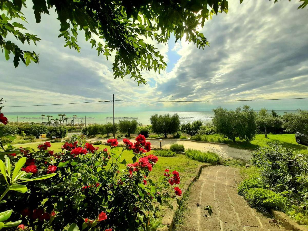 Bio Agriturismo Mare In Campagna Campofilone Eksteriør bilde