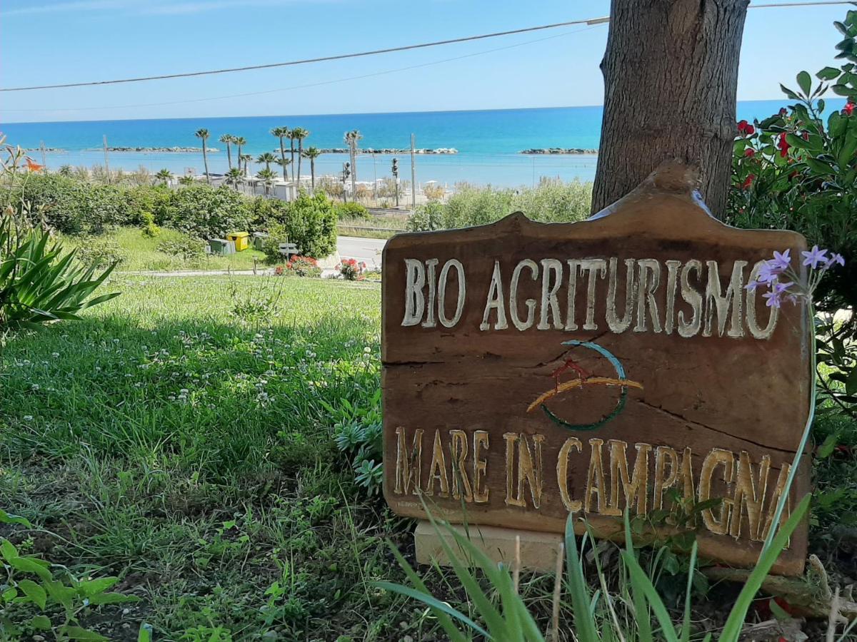 Bio Agriturismo Mare In Campagna Campofilone Eksteriør bilde